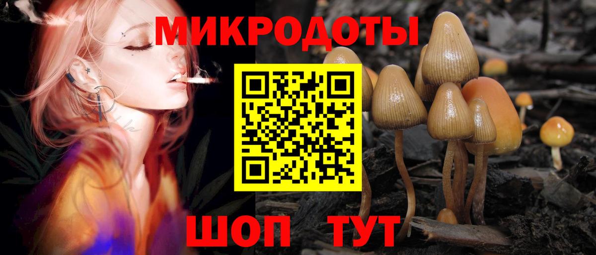 Псилоцибиновые грибы GOLDEN TEACHER  Псилоцибиновые грибы MAGIC MUSHROOMS  Вологда  Вход с VPN 